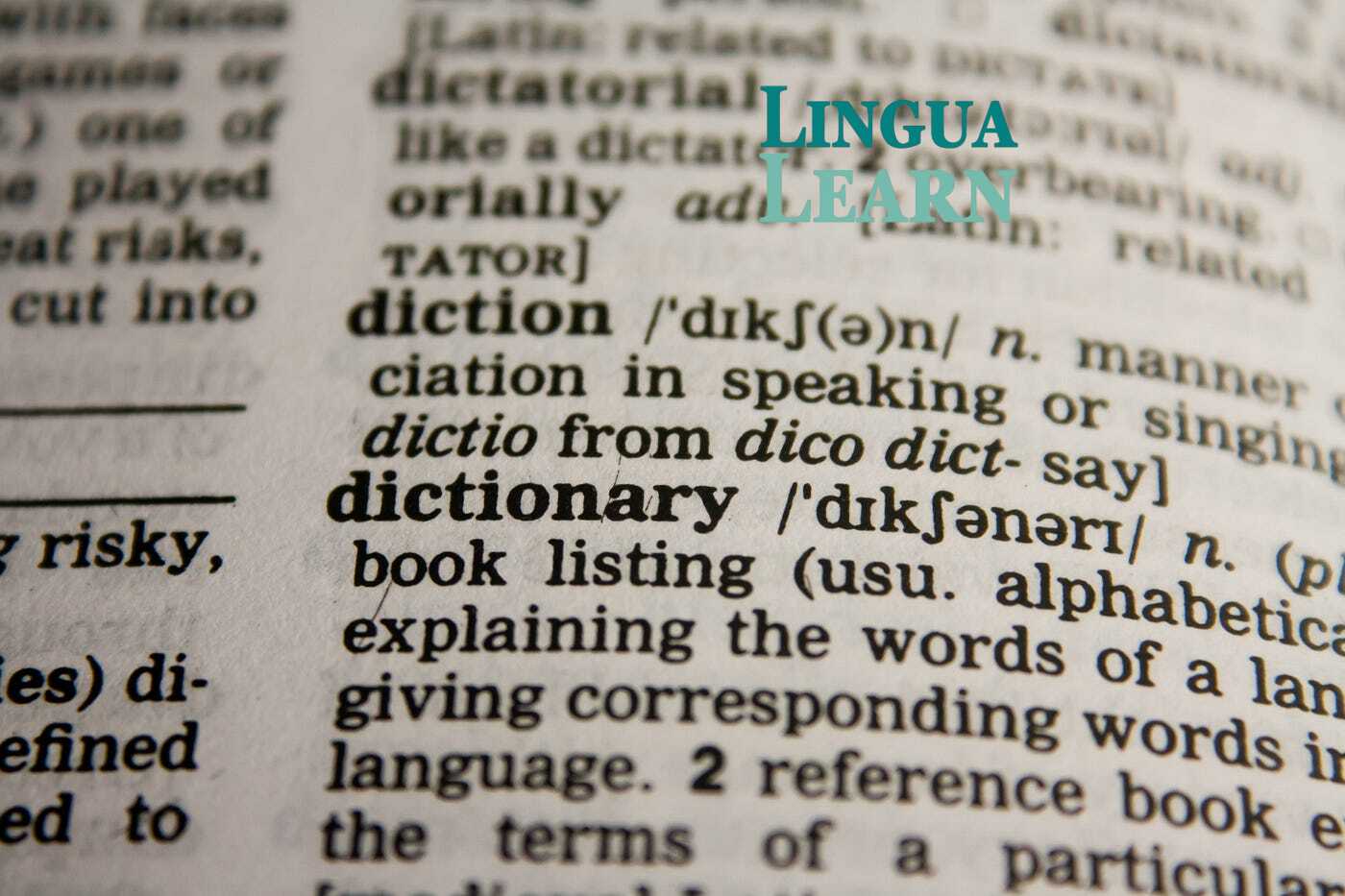 Immersive Language Learning: Pros and Cons You Should Know