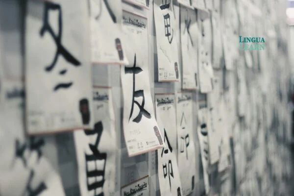 How to Learn Japanese for Travel and Beginners